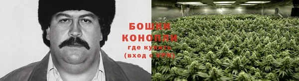 амфетамин Алексин