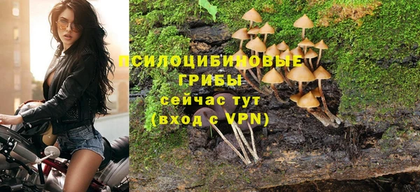 амфетамин Алексин