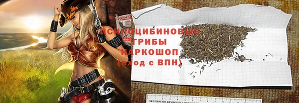 PSILOCYBIN Алзамай