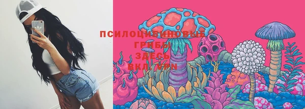 прущий лед Алексеевка