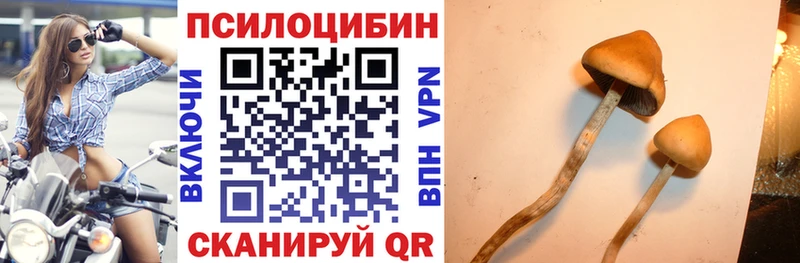 дарк нет как зайти Аткарск Псилоцибиновые грибы ЛСД